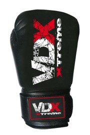 VDX extremeBook-2