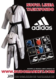 Linea adidas Tae Kwon Do 2012