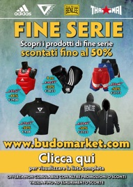 fine serie 2012-2
